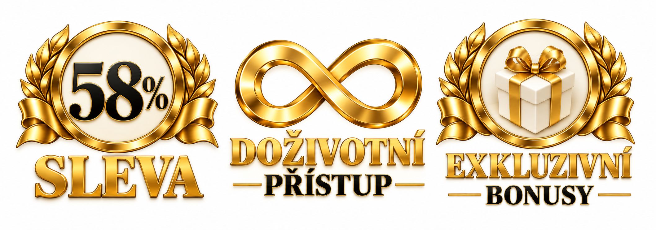 58% sleva, doživotní přístup, exkluzivní bonusy
